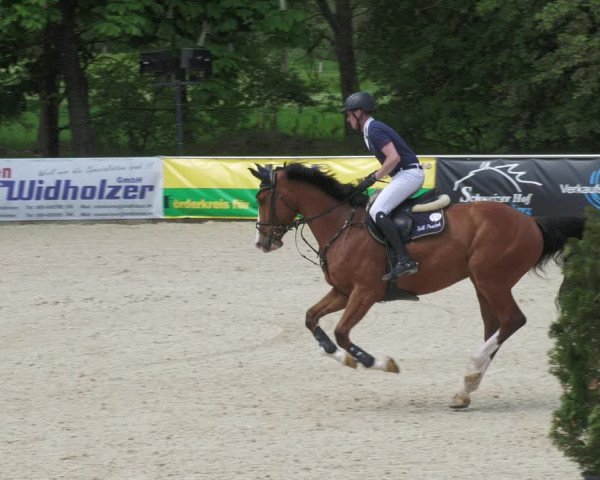 Reitturnier Karlsfeld/Obb. 2022