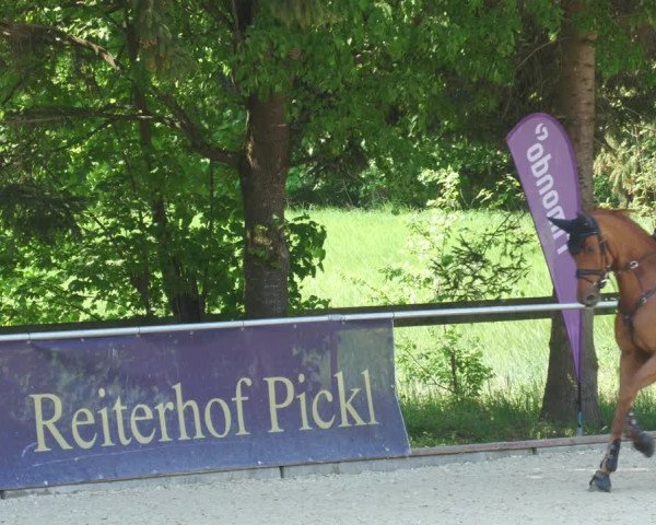 Reitturnier Karlsfeld/Obb. 2022