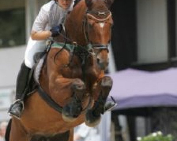 horse Niadina (Dutch Pony, 1995, from Golden Grannus)