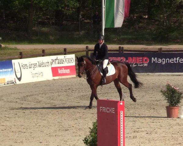 Reitturnier Westergellersen 2022