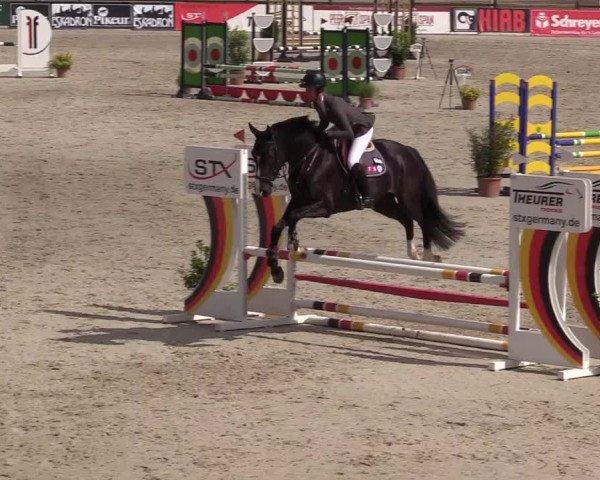 Reitturnier Westergellersen 2022