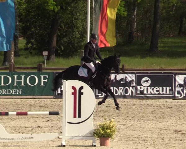 Reitturnier Westergellersen 2022