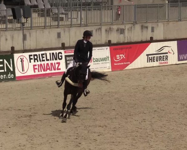 Reitturnier Westergellersen 2022