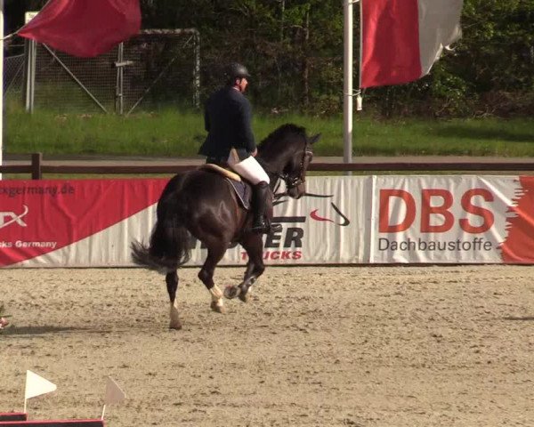 Reitturnier Westergellersen 2022