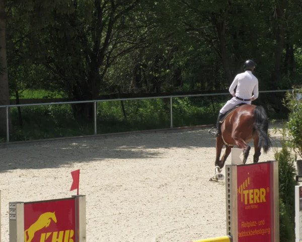 Reitturnier Karlsfeld/Obb. 2022