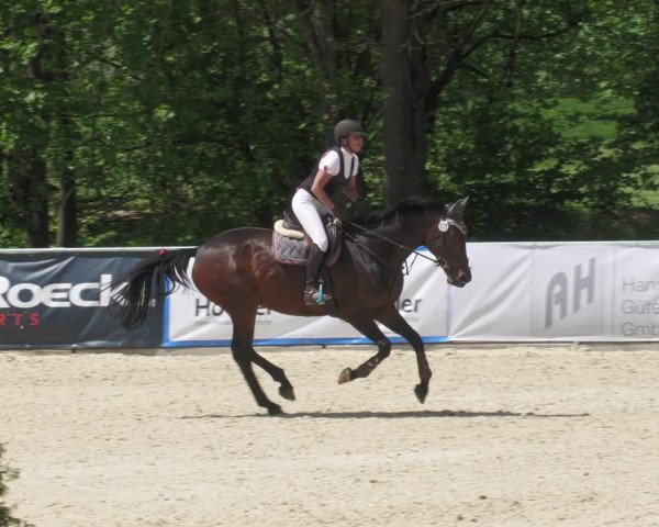 Reitturnier Karlsfeld/Obb. 2022