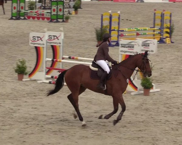 Reitturnier Westergellersen 2022