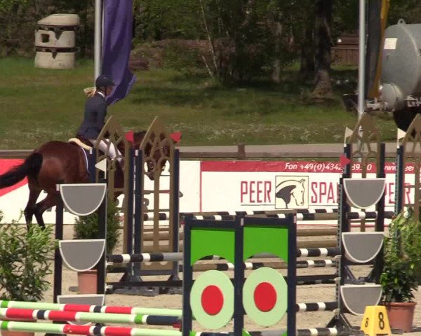 Reitturnier Westergellersen 2022