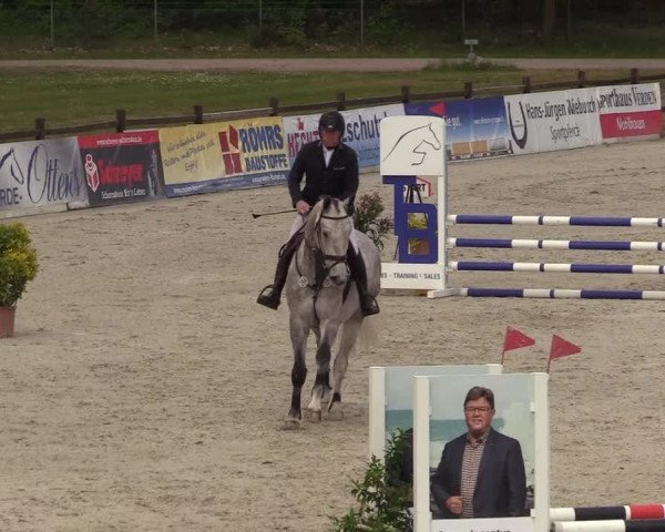 Reitturnier Westergellersen 2022
