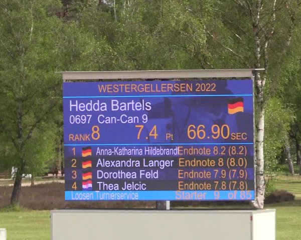 Reitturnier Westergellersen 2022