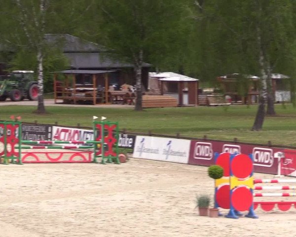 Reitturnier Westergellersen 2022