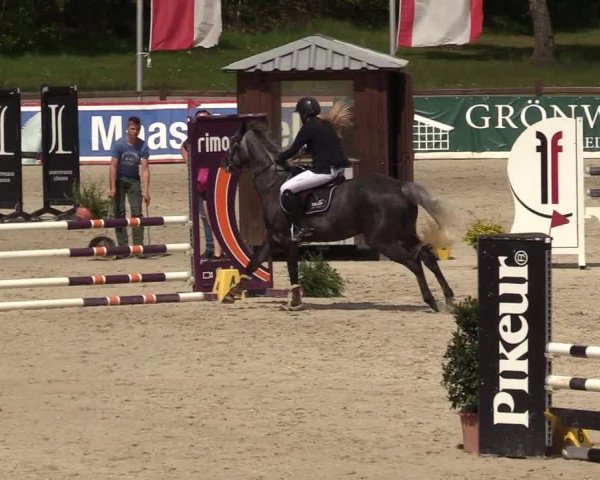 Reitturnier Westergellersen 2022