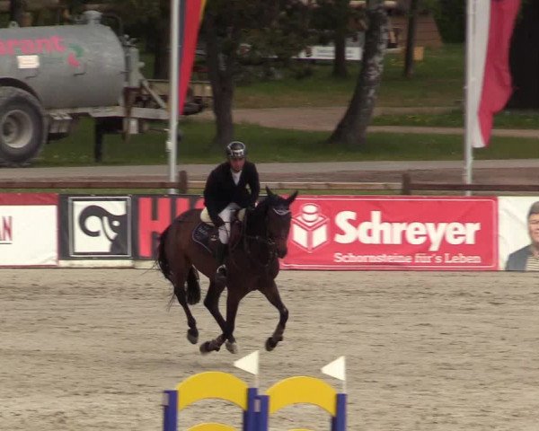 Reitturnier Westergellersen 2022