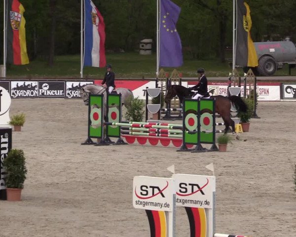 Reitturnier Westergellersen 2022