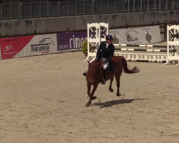 Reitturnier Westergellersen 2022