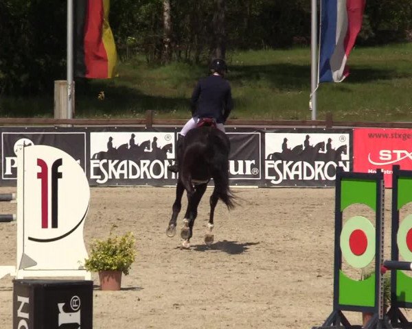 Reitturnier Westergellersen 2022