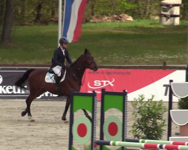 Reitturnier Westergellersen 2022
