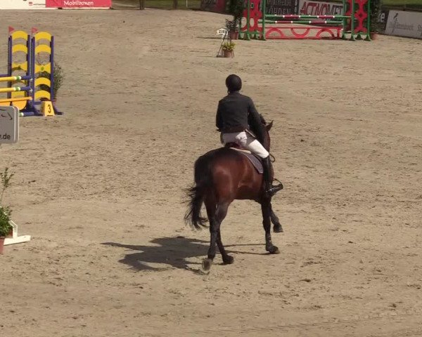 Reitturnier Westergellersen 2022