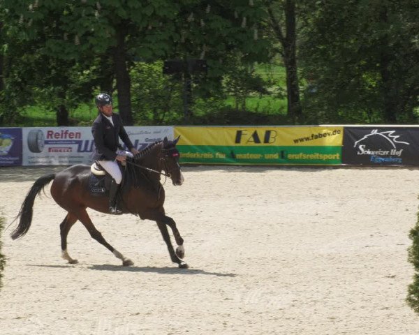 Reitturnier Karlsfeld/Obb. 2022