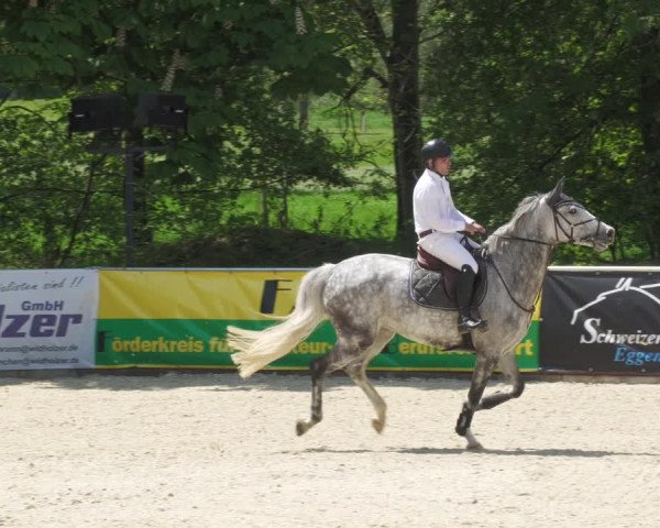 Reitturnier Karlsfeld/Obb. 2022