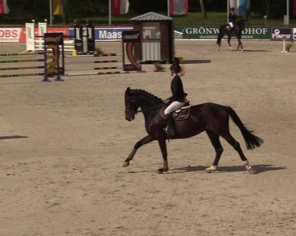 Reitturnier Westergellersen 2022
