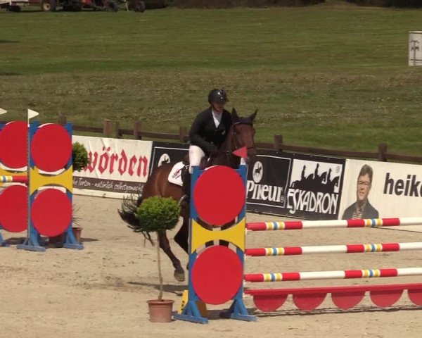 Reitturnier Westergellersen 2022