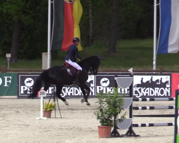 Reitturnier Westergellersen 2022
