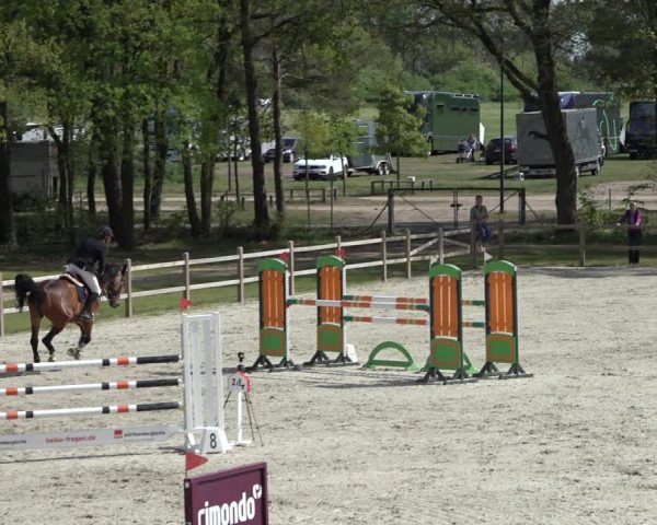 Reitturnier Westergellersen 2022