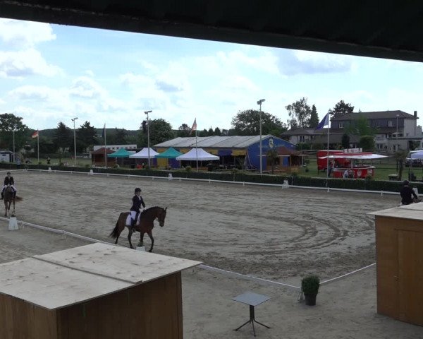 Reitturnier Bornheim-Widdig 2022