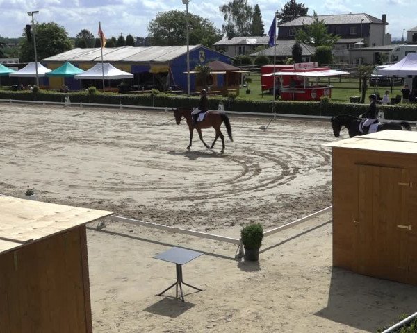 Reitturnier Bornheim-Widdig 2022
