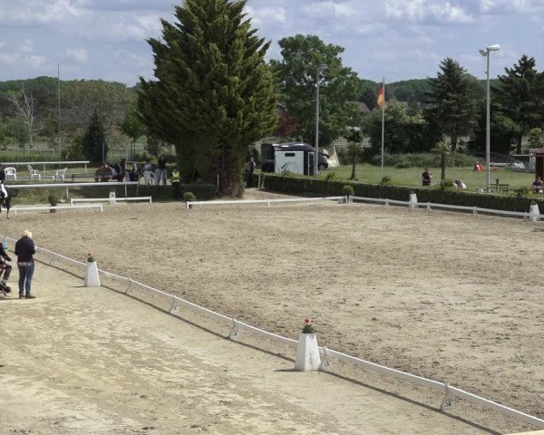 Reitturnier Bornheim-Widdig 2022