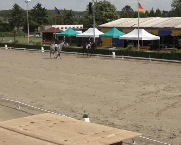 Reitturnier Bornheim-Widdig 2022