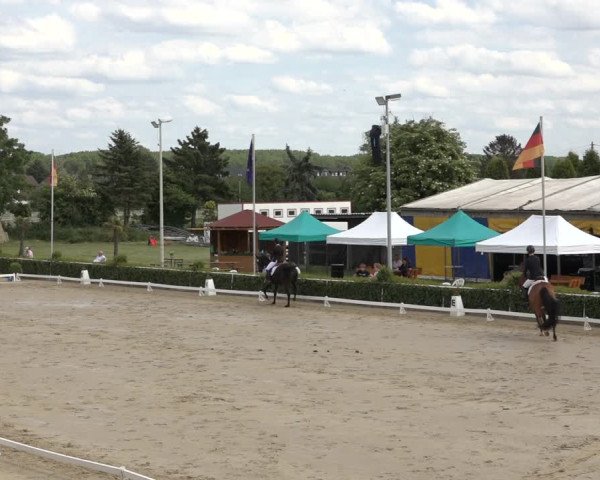Reitturnier Bornheim-Widdig 2022
