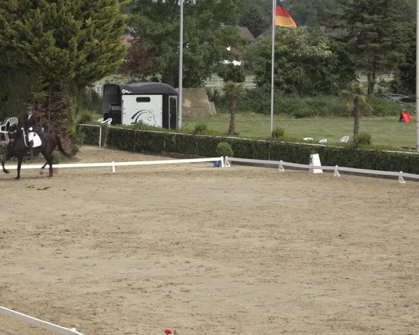 Reitturnier Bornheim-Widdig 2022