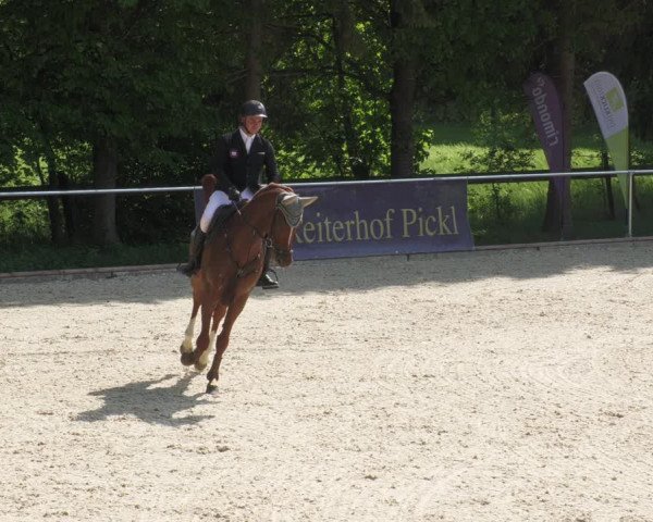 Reitturnier Karlsfeld/Obb. 2022