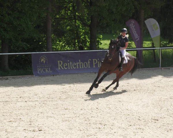 Reitturnier Karlsfeld/Obb. 2022