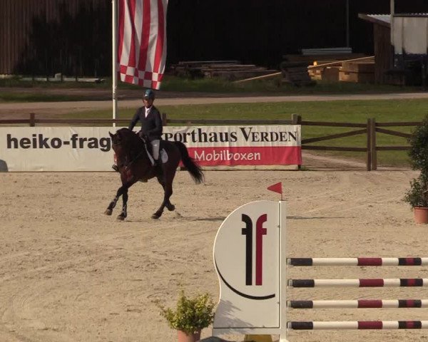 Reitturnier Westergellersen 2022