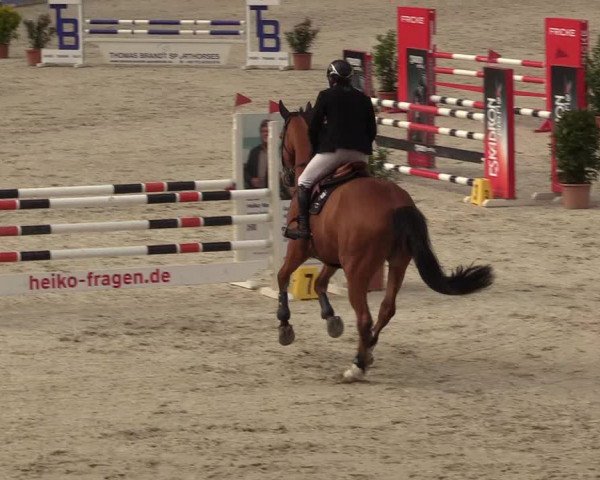 Reitturnier Westergellersen 2022