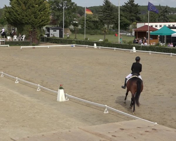 Reitturnier Bornheim-Widdig 2022