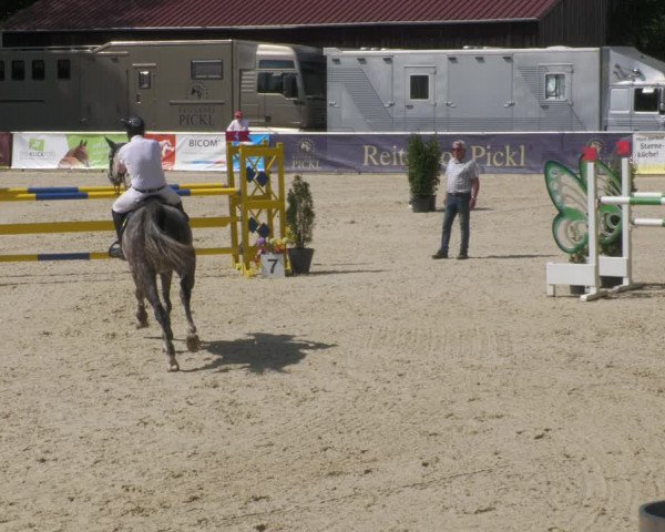 Reitturnier Karlsfeld/Obb. 2022