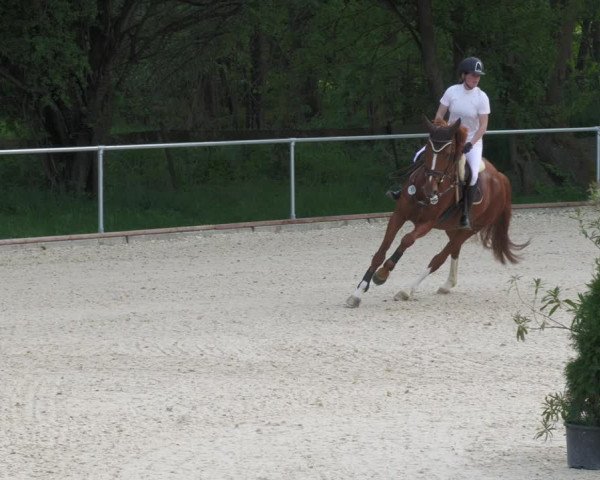 Reitturnier Karlsfeld/Obb. 2022