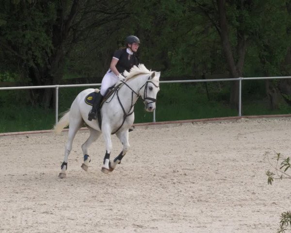 Reitturnier Karlsfeld/Obb. 2022