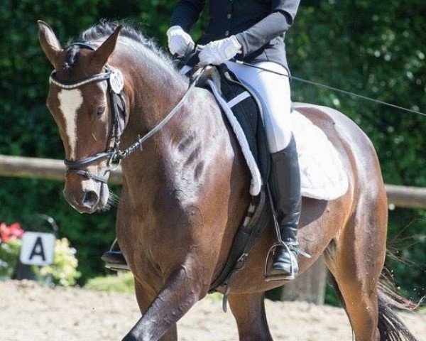 broodmare Acribia (Rhinelander, 2002, from Akribori)
