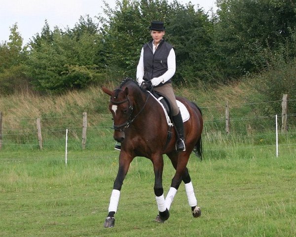 dressage horse Lyandra 2 (Westphalian, 2003, from Levantos I)