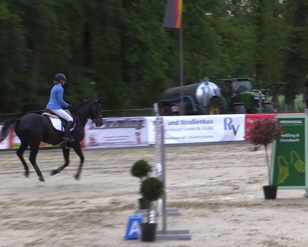 Reitturnier Rhede 2022