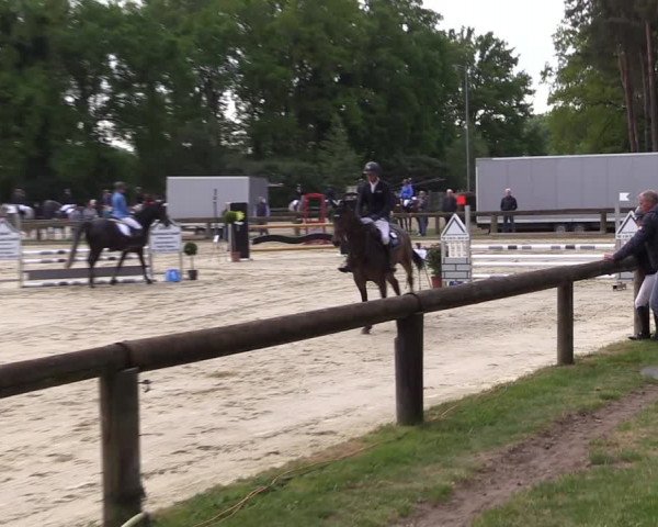 Reitturnier Rhede 2022