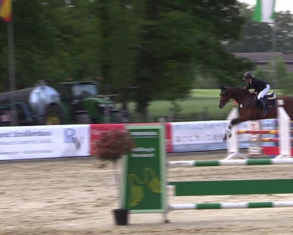 Reitturnier Rhede 2022