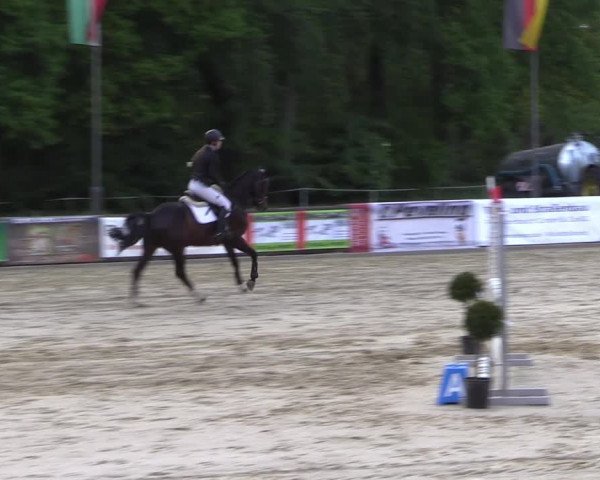 Reitturnier Rhede 2022