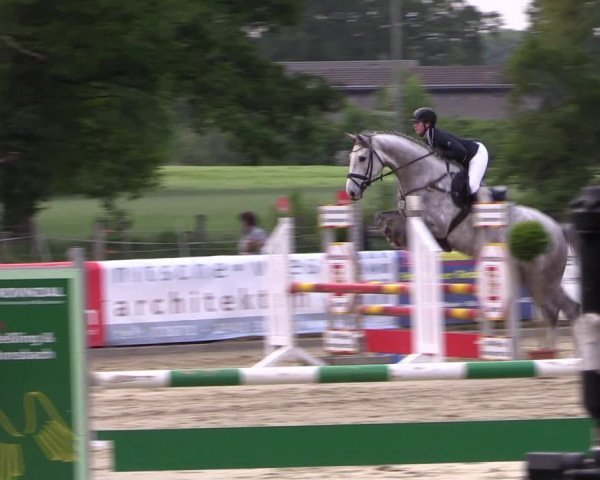 Reitturnier Rhede 2022