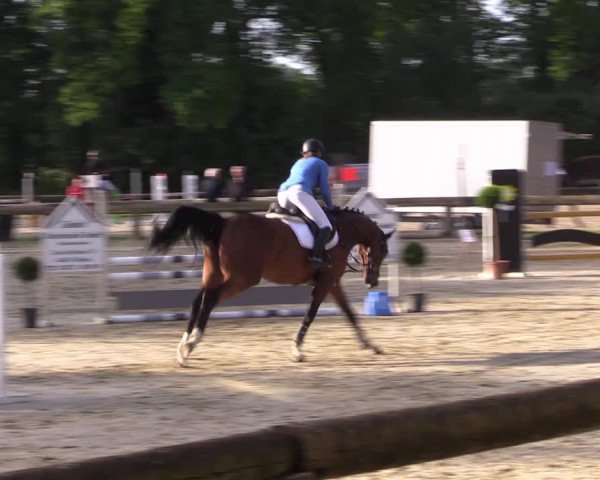 Reitturnier Rhede 2022
